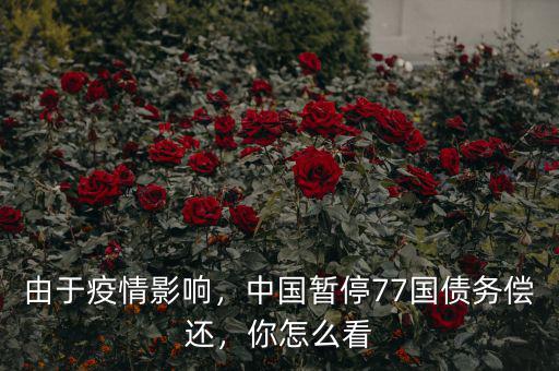 由于疫情影響，中國暫停77國債務償還，你怎么看