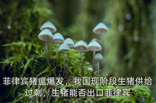 菲律賓豬瘟爆發，我國現階段生豬供給過剩，生豬能否出口菲律賓