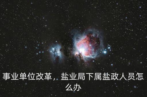 鹽業改革后職工怎么辦,鹽業公司如何改革