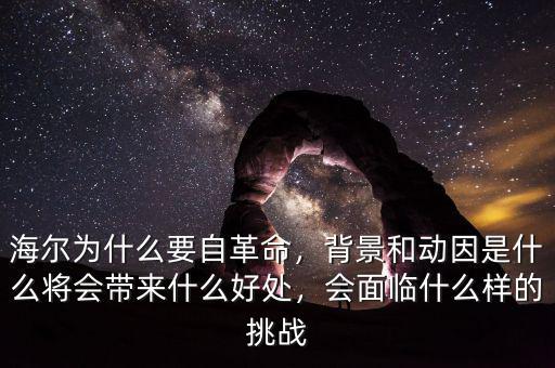 海爾公司所面臨的管理挑戰是什么意思,背景和動因是什么