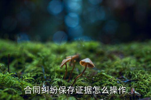 存證云視頻證據怎么保存出來,合同糾紛保存證據怎么操作