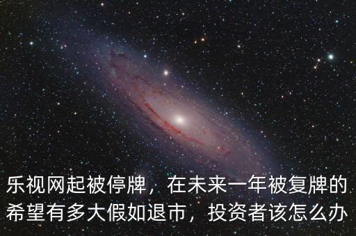 樂視網起被停牌，在未來一年被復牌的希望有多大假如退市，投資者該怎么辦