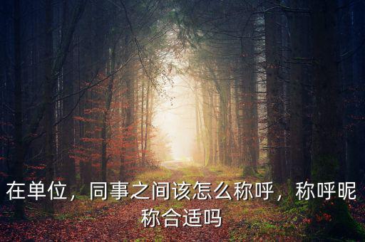 在單位，同事之間該怎么稱呼，稱呼昵稱合適嗎
