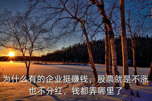 為什么有的企業挺賺錢，股票就是不漲也不分紅，錢都弄哪里了