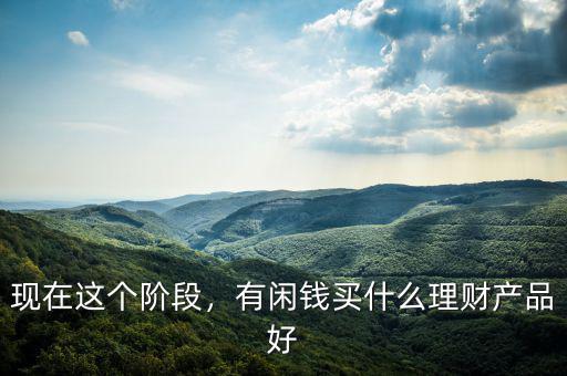 現在這個階段，有閑錢買什么理財產品好