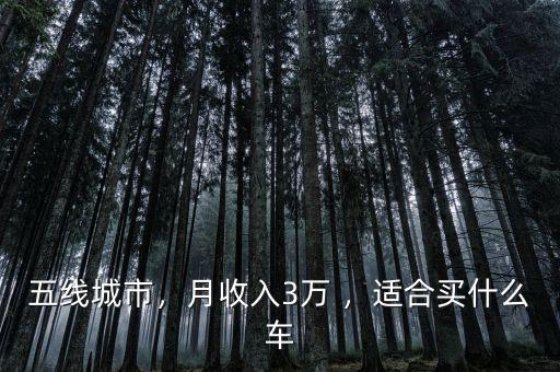五線城市，月收入3萬 ，適合買什么車