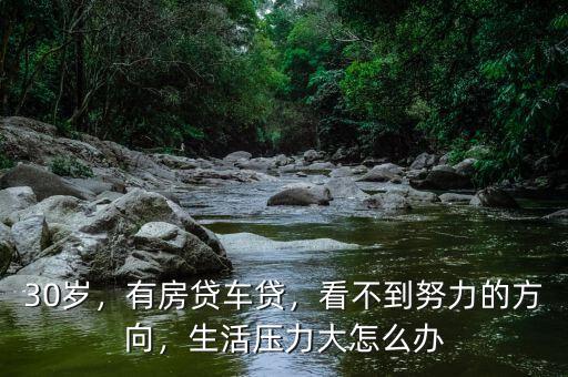 30歲，有房貸車貸，看不到努力的方向，生活壓力大怎么辦