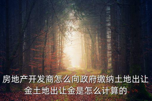 房地產開發商怎么向政府繳納土地出讓金土地出讓金是怎么計算的
