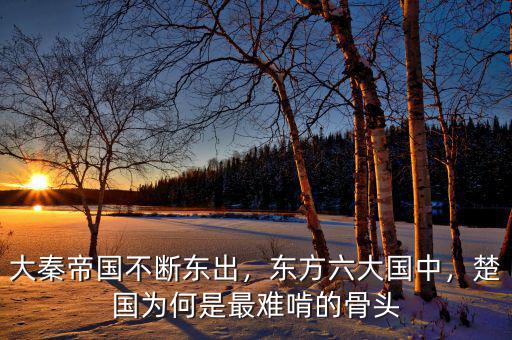 大秦帝國不斷東出，東方六大國中，楚國為何是最難啃的骨頭