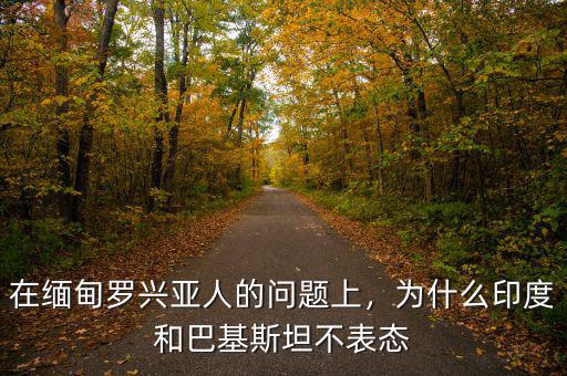 在緬甸羅興亞人的問題上，為什么印度和巴基斯坦不表態