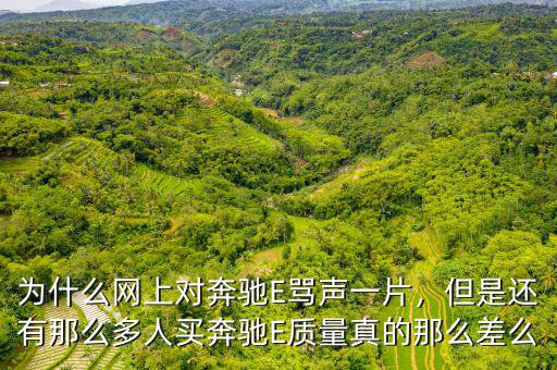為什么網上對奔馳E罵聲一片，但是還有那么多人買奔馳E質量真的那么差么