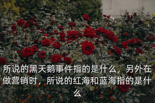 所說的黑天鵝事件指的是什么，另外在做營銷時，所說的紅海和藍(lán)海指的是什么