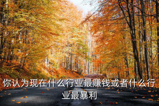 你認為現在什么行業最賺錢或者什么行業最暴利