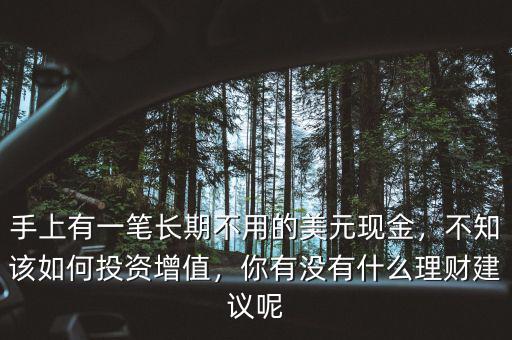 手上有一筆長(zhǎng)期不用的美元現(xiàn)金，不知該如何投資增值，你有沒(méi)有什么理財(cái)建議呢