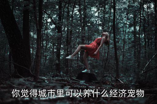 家里養什么寵物添財,想養一只寵物