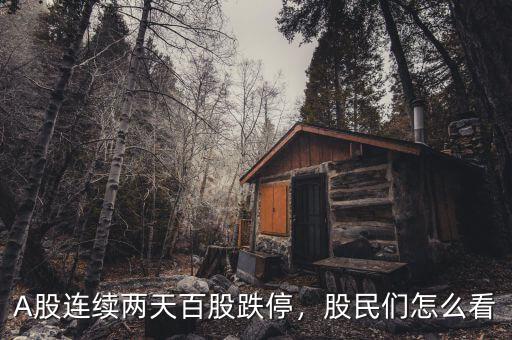 A股連續(xù)兩天百股跌停，股民們?cè)趺纯? class=
