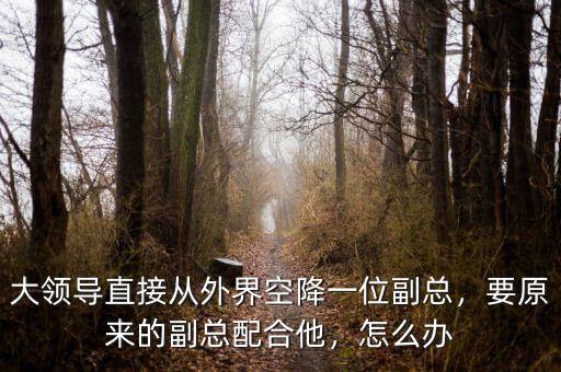大領(lǐng)導(dǎo)直接從外界空降一位副總,要原來的副總配合他,怎么辦