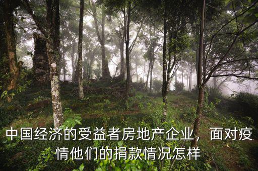 房地產為什么捐款,為什么房地產出慈善家