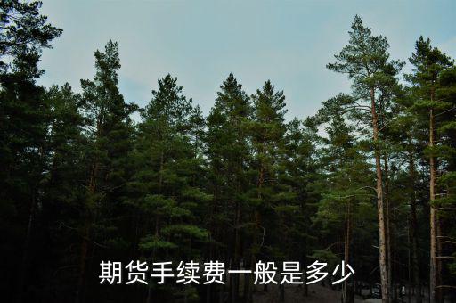 期貨手續費最低多少,期貨手續費一般是多少