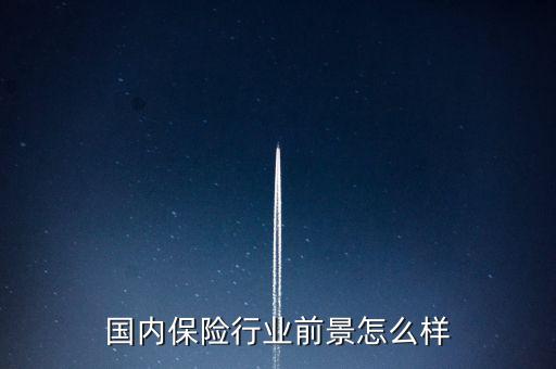 保險壽險未來怎么樣,保險行業的未來怎么樣