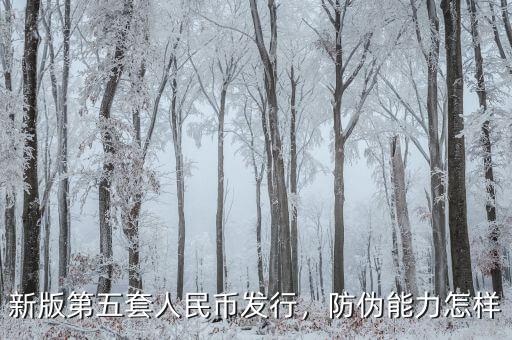 第五套人民幣發行意味什么,第5套人民幣發行意義