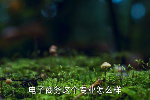 萬聯電子商務怎么樣,電子商務這個專業怎么樣