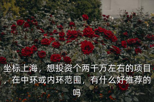 坐標上海，想投資個兩千萬左右的項目，在中環或內環范圍，有什么好推薦的嗎