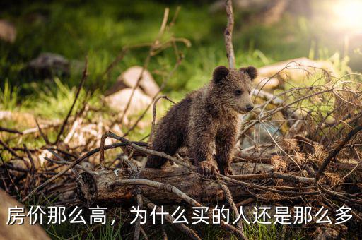房價(jià)那么高，為什么買的人還是那么多