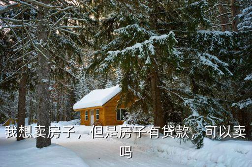 我想賣房子，但是房子有貸款，可以賣嗎
