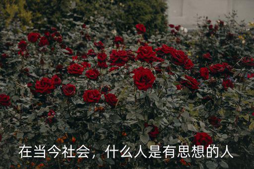 在當今社會，什么人是有思想的人