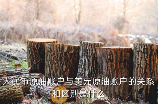人民幣原油賬戶與美元原油賬戶的關系和區別是什么