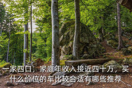 一家四口，家庭年收入接近四十萬，買什么價位的車比較合適有哪些推薦