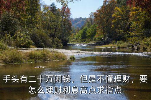 手頭有二十萬閑錢，但是不懂理財(cái)，要怎么理財(cái)利息高點(diǎn)求指點(diǎn)