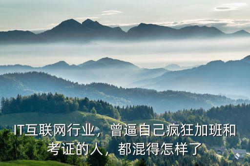IT互聯網行業，曾逼自己瘋狂加班和考證的人，都混得怎樣了