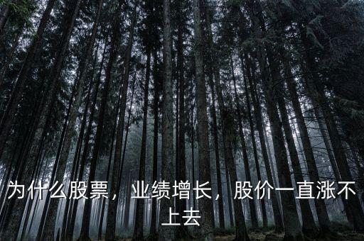 為什么股票，業績增長，股價一直漲不上去