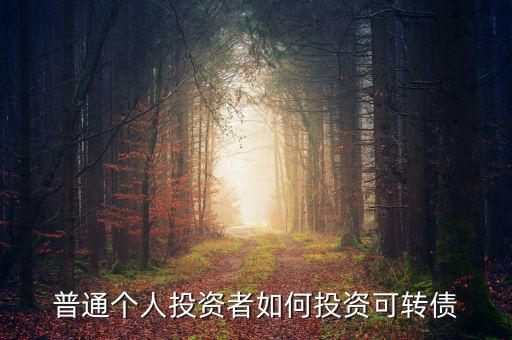 普通個人投資者如何投資可轉債