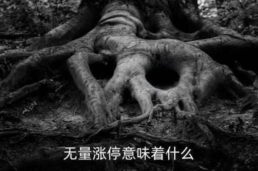無量漲停說明什么,一字板無量漲停后續會怎樣
