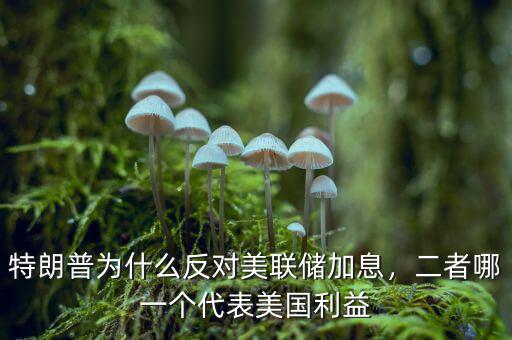 特朗普為什么反對(duì)美聯(lián)儲(chǔ)加息，二者哪一個(gè)代表美國利益