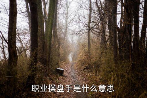 什么是銀行交易員,職業操盤手是什么意思