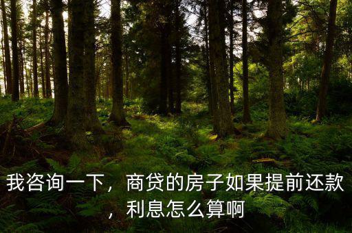 商業貸款提前還貸利息怎么算,商貸的房子如果提前還款