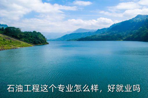日本石油專業怎么樣,工資水平怎么樣
