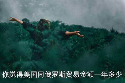 你覺得美國同俄羅斯貿易金額一年多少
