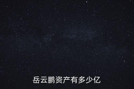 岳云鵬資產有多少億