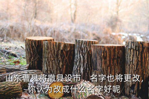 山東曹縣將撤縣設市，名字也將更改，你認為改成什么名字好呢