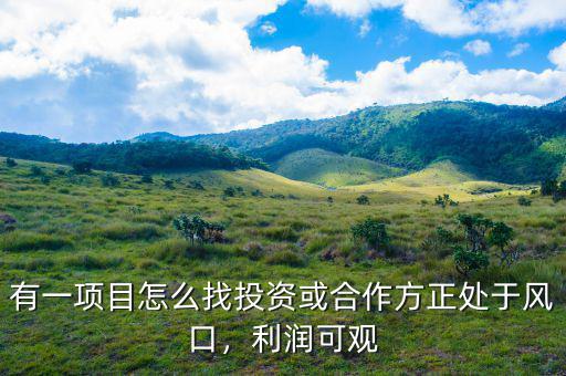 創投網投資了項目怎么盈利,有一項目怎么找投資或合作方