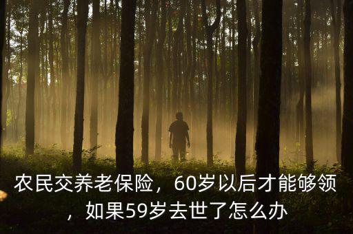 養老保險倒閉了農民怎么辦,農民交養老保險