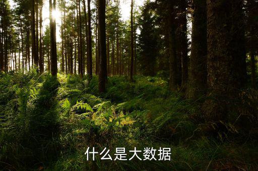 什么是大數據