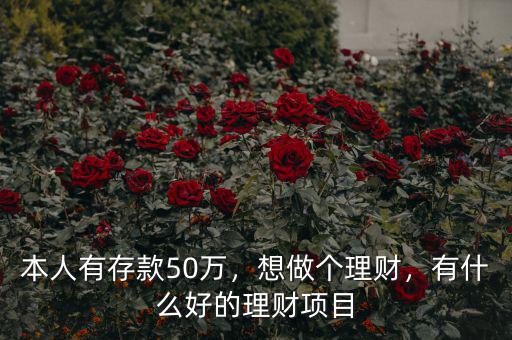 本人有存款50萬(wàn)，想做個(gè)理財(cái)，有什么好的理財(cái)項(xiàng)目