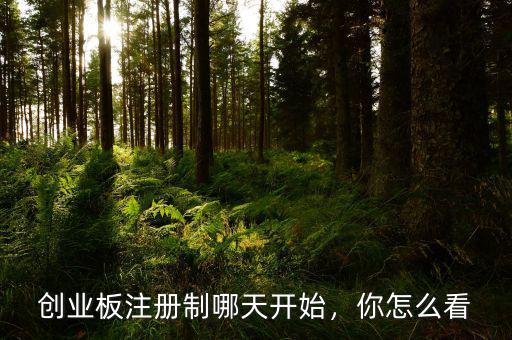 創業板什么時候開始,創業板注冊制什么時候開始