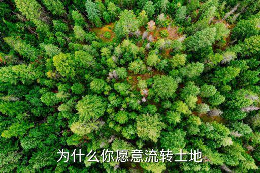 為什么要進行土地流轉,土地流轉為什么要戶口本